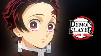 Demon Slayer Kimetsu no Yaiba