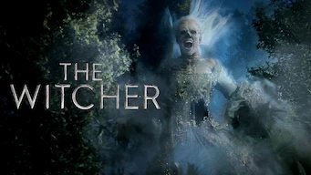 The Witcher